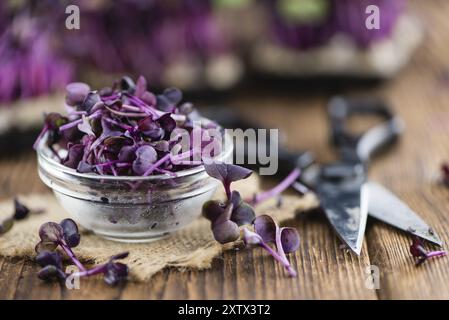 Cutted Kresse auf einem vintage Hintergrund als detaillierte Nahaufnahme (selektive Fokus) Stockfoto