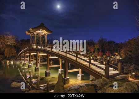 Japanischer Park, Krasnodar, Russland, Europa Stockfoto