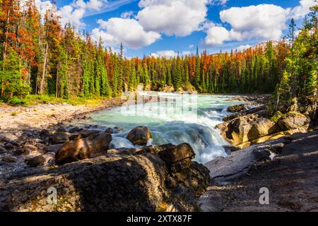 Wasserfälle in den felsigen Bergen. Der zweite, untere Sunwapta Falls am Sunwapta River. Jasper National Park, Alberta, Kanada. Stockfoto