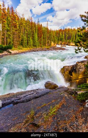 Wasserfälle in den felsigen Bergen. Der zweite, untere Sunwapta Falls am Sunwapta River. Jasper National Park, Alberta, Kanada. Stockfoto