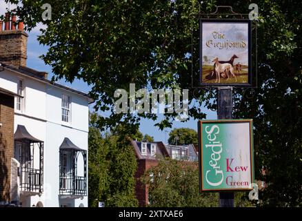 Pub-Schild für The Greyhound, ein traditioneller englischer Pub auf Kew Green im Sommer, London, England Stockfoto