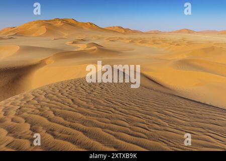 Rub al-Shali, die größte Wüste der Welt im Oman, Rub al-Chali, leeres Viertel nea, Salalah, Dhofar Governorate, Oman, Asien Stockfoto