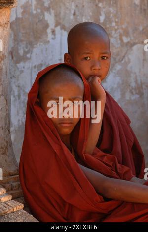 Myanmar, Asien, Anfänger, Porträt, Mönch, Asien Stockfoto