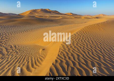 Rub al-Shali, die größte Wüste der Welt im Oman, Rub al-Chali, leeres Viertel nea, Salalah, Dhofar Governorate, Oman, Asien Stockfoto