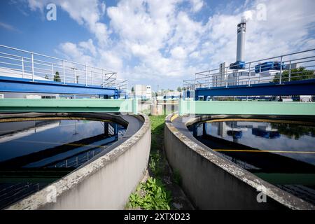 Berlin, Deutschland. August 2024. In der Kläranlage Ruhleben der Berliner Wasserbetriebe. Quelle: Sebastian Gollnow/dpa/Alamy Live News Stockfoto