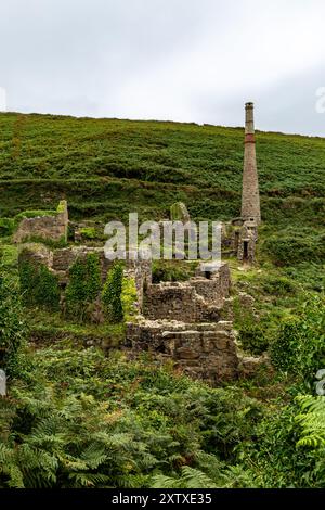 Ein Blick auf die Ruinen einer Zinnmine in der kornischen Landschaft Stockfoto