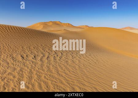 Rub al-Shali, die größte Wüste der Welt im Oman, Rub al-Chali, leeres Viertel nea, Salalah, Dhofar Governorate, Oman, Asien Stockfoto