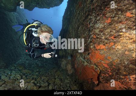 Taucher taucht in eine kleine Höhle in einem felsigen Riff und betrachtet die beleuchteten bunten Schwämme (Porifera) auf Felsen, das Mittelmeer, die Insel Asinara, Sardinien, I Stockfoto