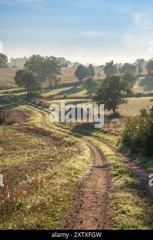 Gewundene Feldstraße in einer ländlichen Wiese mit taunassem Gras ein schöner Sommermorgen Stockfoto