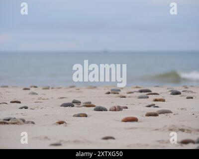 Meereslandschaft unter bewölktem Himmel. Skagerrak, Kattegat Meerenge in Skagen, Dänemark. Steine auf dem Sand im Vordergrund. Stockfoto