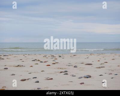 Meereslandschaft unter bewölktem Himmel. Skagerrak, Kattegat Meerenge in Skagen, Dänemark. Steine auf dem Sand im Vordergrund. Stockfoto