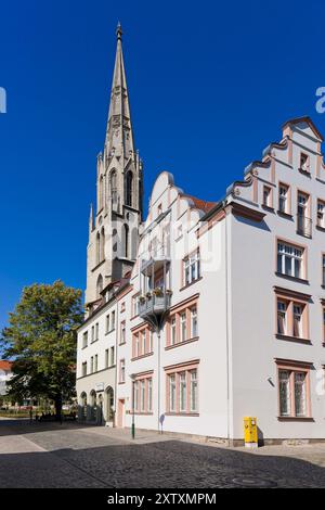 (â Sylvio Dittrich +49 1772156417) Merseburger Stadtkirche St. Maximi Stockfoto