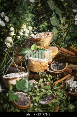 Frische Kekse mit Puderzucker bestreut, umgeben von grünen Blättern und Blüten, getrockneten Orangenscheiben, Zimtstangen Stockfoto