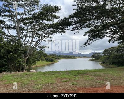 Usa. Juli 2024. Bäume umgeben Tanada Reservoir, Honolulu County, Wahiawa, Hawaii, 25. Juli, 2024. (Foto: Smith Collection/Gado/SIPA USA) Credit: SIPA USA/Alamy Live News Stockfoto