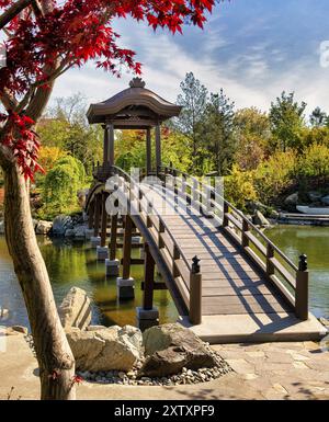 Japanischer Park, Krasnodar, Russland, Europa Stockfoto