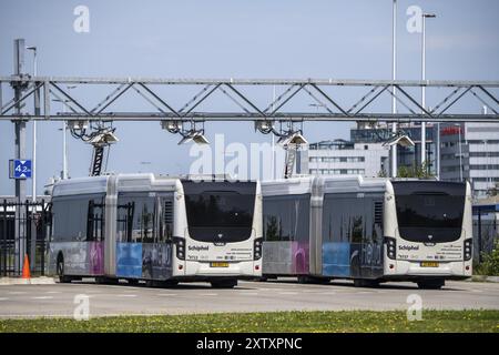 Schnellladestation für Elektrobusse am Flughafen Amsterdam Schiphol ist die gesamte Flotte von Personenbussen elektrisch, über 200 Fahrzeuge, Stockfoto