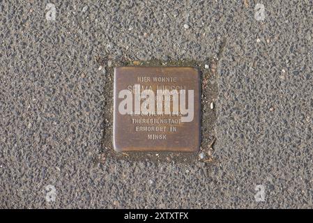 Stolperstein, Gedenken an deportierte und ermordete jüdische Mitbürger während der NS-Zeit, Kitzingen, Niederfranken, Bayern, Deutschland, Euro Stockfoto