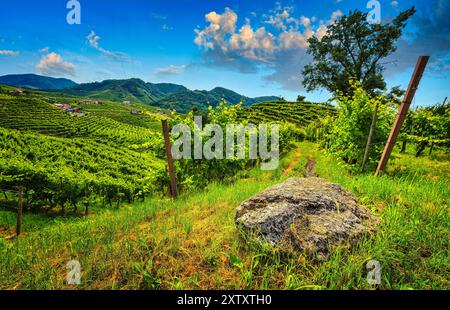 Die Prosecco-Hügel an einem sonnigen Tag. Ein Felsen im Vordergrund, Bäume im Hintergrund mit Wolken am Himmel Stockfoto