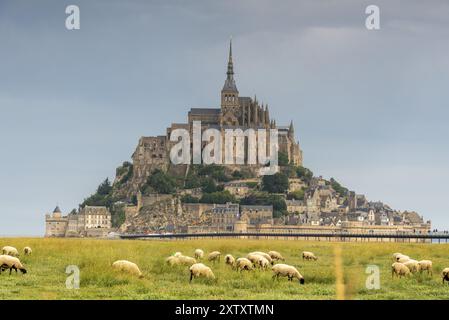 Mont Saint Michel, felsige Klosterinsel im Wattenmeer, Schafe, Le Mont Saint Michel, Normandie, Frankreich, Europa Stockfoto