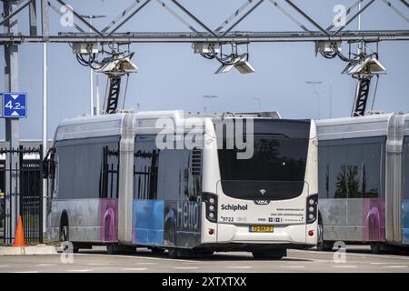 Schnellladestation für Elektrobusse am Flughafen Amsterdam Schiphol ist die gesamte Flotte von Personenbussen elektrisch, über 200 Fahrzeuge, Stockfoto