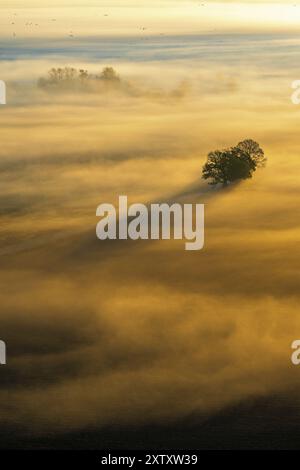 Rollender Nebel über die Felder mit Bäumen in einem wunderschönen Sonnenaufgang mit Schatten und Sonnenstrahlen im Herbst Stockfoto