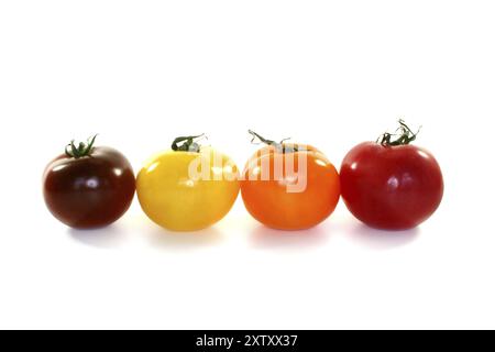 Verschiedenfarbige Tomaten auf weißem Hintergrund Stockfoto