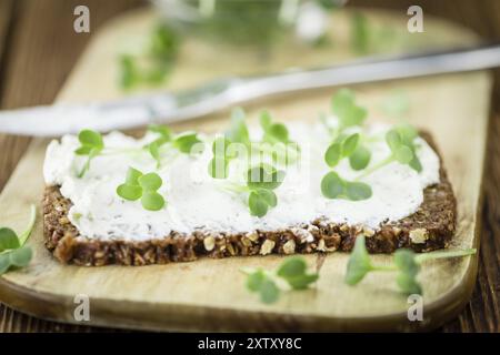 Rahmkäse auf einer Brotscheibe mit frischer Kresse (selektiver Fokus, Nahaufnahme) Stockfoto