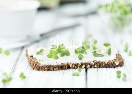 Rahmkäse auf einer Brotscheibe mit frischer Kresse (selektiver Fokus, Nahaufnahme) Stockfoto