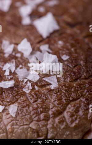 Nahaufnahme eines gegrillten Steak Stockfoto