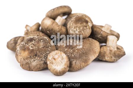 Teil der Shiitake Pilze als detaillierte Nahaufnahme auf weißem Hintergrund Stockfoto