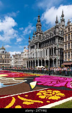 Brüsseler Blumenteppich 2024 auf dem Hauptplatz des Grand Place mit dem Haus des Königs und der Menschen, Brüssel, Belgien. Stockfoto