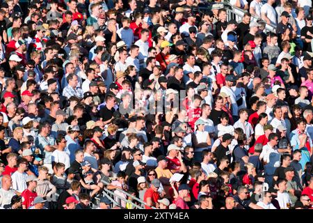 15. August 2024, Bayern, Würzburg: Fußball: DFB-Cup, Würzburger Kickers - TSG 1899 Hoffenheim, 1. Runde: Zuschauer beim Spiel. Foto: Daniel Vogl/dpa - WICHTIGER HINWEIS: Gemäß den Vorschriften der DFL Deutschen Fußball-Liga und des DFB Deutschen Fußball-Bundes ist es verboten, im Stadion und/oder im Spiel aufgenommene Fotografien in Form von sequenziellen Bildern und/oder videoähnlichen Fotoserien zu verwenden oder zu nutzen. Stockfoto