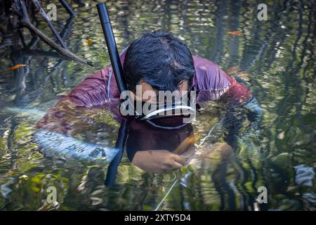 Las Penitas, Nicaragua - 17. März 2024: Fischer fischen per Hand mit einer Harpune im Naturreservat Venado Island in Nicaragua Zentralamerika Stockfoto