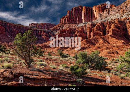 Die Red Moenkopi Formation und Schichten – Capitol Reef National Park, Utah Stockfoto