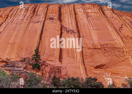 Wüstenlack auf den steilen Klippen - Wingate Sandstone Formation - Grand Staircase-Escalante National Monument - Utah Stockfoto