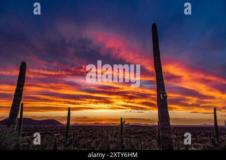 Farbenfroher Sonnenuntergang, Ironwood Forest National Monument, AZ Stockfoto