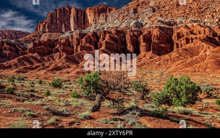 Die rote Moenkopi-Formation und geschichteten Schichten - Capitol Reef Nationalpark Stockfoto