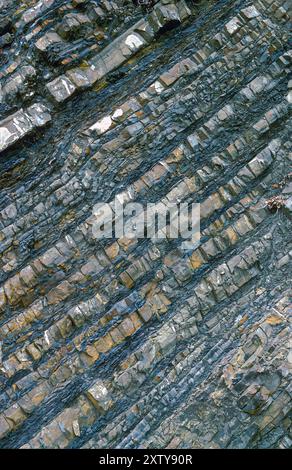 Freiliegende Schichten, Kalkstein und Schiefer, kalifornische Geologie Stockfoto