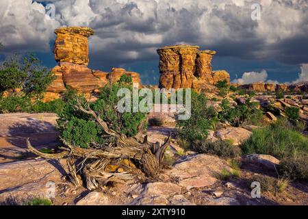 Canyonlands National Monument (südliche Gegend) Utah Stockfoto