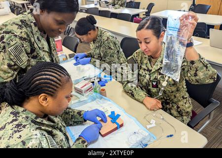 24. Juli 2024: Fort Drum, New York, USA: Navy Reservists der Expeditionary Medicine Unit Jacksonville, Florida, führen jährlich eine zweiwöchige Trainingsrotation durch, die Operation Commanding Force genannt wird. Das Training gipfelte mit einer intensiven Kampftrauma-Übung außerhalb des Bridgewater-Vaccaro Medical Simulation Training Center (MSTC), mit Soldaten der 10. Mountain Division (LI), einer Crew der Kentucky Army Reserve DUSTOFF, und die Sanitäter der Vermont Nationalgarde mit Mitgliedern ihrer gesponserten Einheit der österreichischen Streitkräfte, die alle an der Evakuierung, dem Transport und der medizinischen Versorgung beteiligt sind Stockfoto