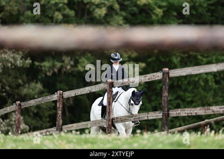 Julia KRAJEWSKI von Deutschland mit Great Twist d'Ive Z während der Dressur von CCI3*-S · Prix Delen beim Concours Complet International d'Arville am 16. August 2024, Gesves, Belgien (Foto von Maxime David - MXIMD Pictures) Credit: MXIMD Pictures/Alamy Live News Stockfoto