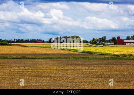 Blick aus dem fahrenden Auto auf erntete landwirtschaftliche Felder mit Bauernhäusern vor Waldkulisse und bewölktem Himmel. Schweden. Stockfoto