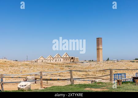 Kamel an heißen Tagen und Harran Häuser im Harran Dorf im Hintergrund, Sanliurfa, Türkei. Stockfoto