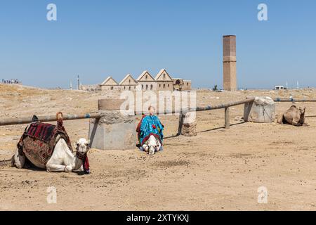 Kamel an heißen Tagen und Harran Häuser im Harran Dorf im Hintergrund, Sanliurfa, Türkei. Stockfoto