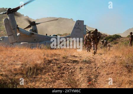 US-Marines mit 2. Bataillon, 4. Marine-Regiment, 1. Marine-Division, verlassen die Landezone, nachdem sie einen taktischen Rückholkurs für Flugzeuge und Personal abgeschlossen haben, der von der Amphibious Raids Branch, Expeditionary Operations Training Group, I Marine Expeditionary Force, im Marine Corps Base Camp Pendleton, Kalifornien, am 8. August 2024 veranstaltet wurde. Der Zweck des FALLEN-Kurses besteht darin, sicherzustellen, dass die Marines über die Kenntnisse und Fähigkeiten verfügen, die erforderlich sind, um eine effektive Bergung von Flugzeugen und Personal in Vorbereitung auf die nachfolgenden Übungen und ihre bevorstehenden Einsatzeinsätze durchzuführen. (U.S. Marine Corps p Stockfoto