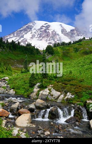 Edith Creek fließt im Sommer vor dem Mount Raininer Vulkan mit grüner Wiese Stockfoto