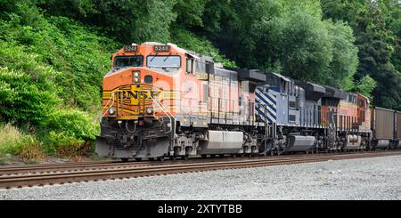 Everett, WA, USA - 28. Juli 2024; BNSF-Güterzug mit MRL-Motor, der Ladung von Kohlewagen transportiert Stockfoto