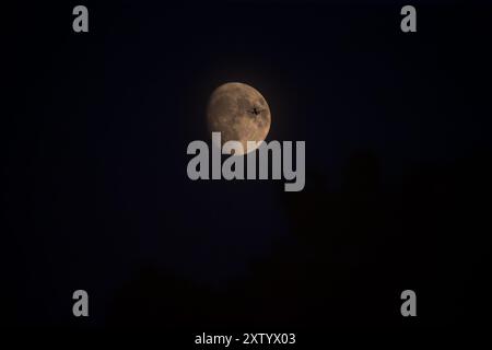 New York, Usa. August 2024. In der Nacht vom Freitag, den 16. August 2024, sieht man ein Flugzeug über den Mond von New York City in den Vereinigten Staaten. Quelle: Brazil Photo Press/Alamy Live News Stockfoto