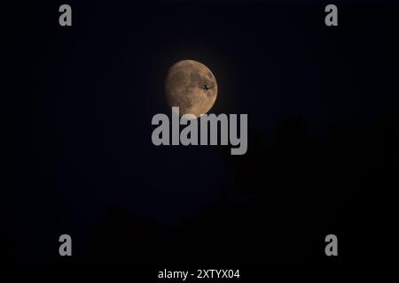 New York, Usa. August 2024. NOVA YORK, EUA, 16.08.2024 - CENA-EUA - Avião é visto passando sobre a lua à partir da cidade de Nova York nos Estados Unidos na noite desta sexta-feira, 16. (Foto: William Volcov/Brazil Photo Press/Folhapress) Credit: Brazil Photo Press/Alamy Live News Stockfoto