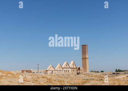 Ruinen von Ulu Cami (die große Moschee) in Harran. Dieses architektonische Denkmal ist die älteste Moschee in Anatolien und wurde im 8. Jahrhundert erbaut. Ruinen von Th Stockfoto